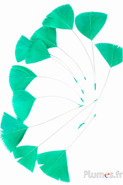 Verenblaadjes - 6-8 x 3-4 cm - groen